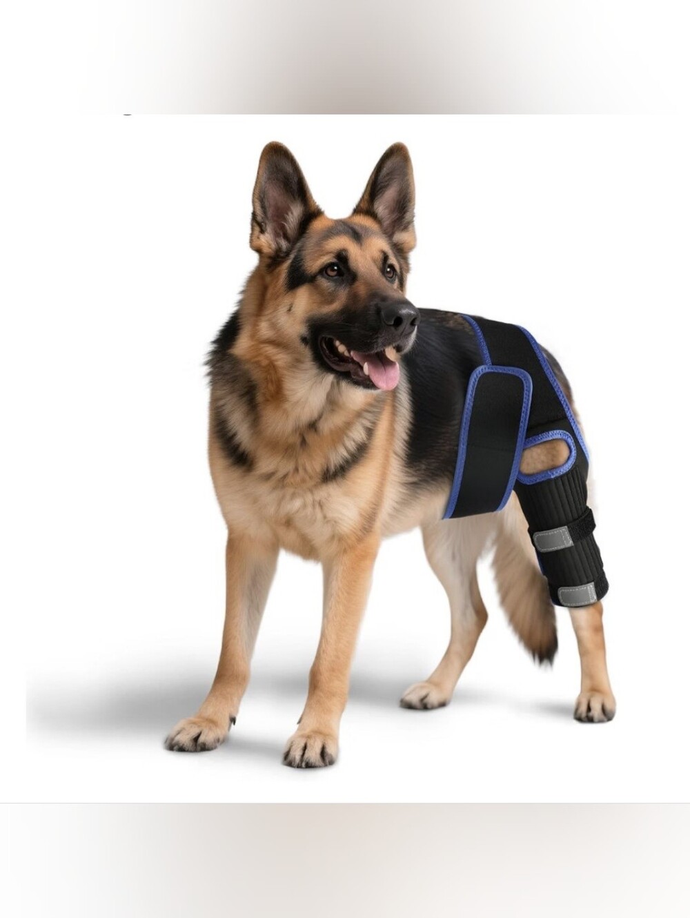 RUXAN Ortho Dog Knee Brace Front and Back Leg Torn Acl No Lick Large NWOT